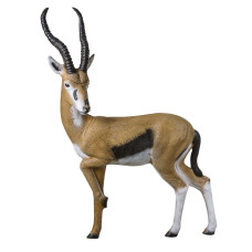 Rinehart Gazelle